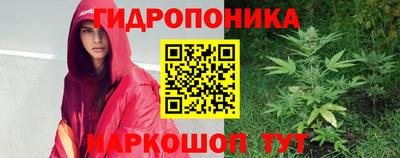 молекула духа Малоярославец