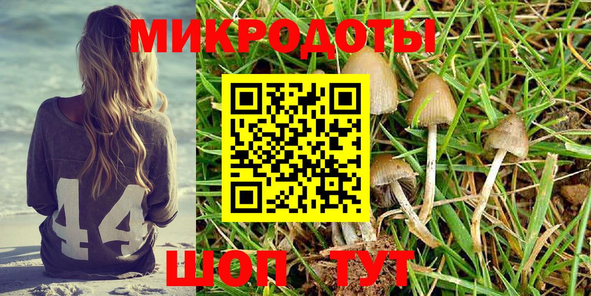 Галлюциногенные грибы MAGIC MUSHROOMS Ртищево